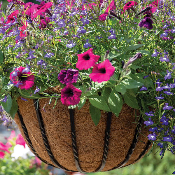 Gardman Hanging Basket Coco Liner 35cm - 2 Pack