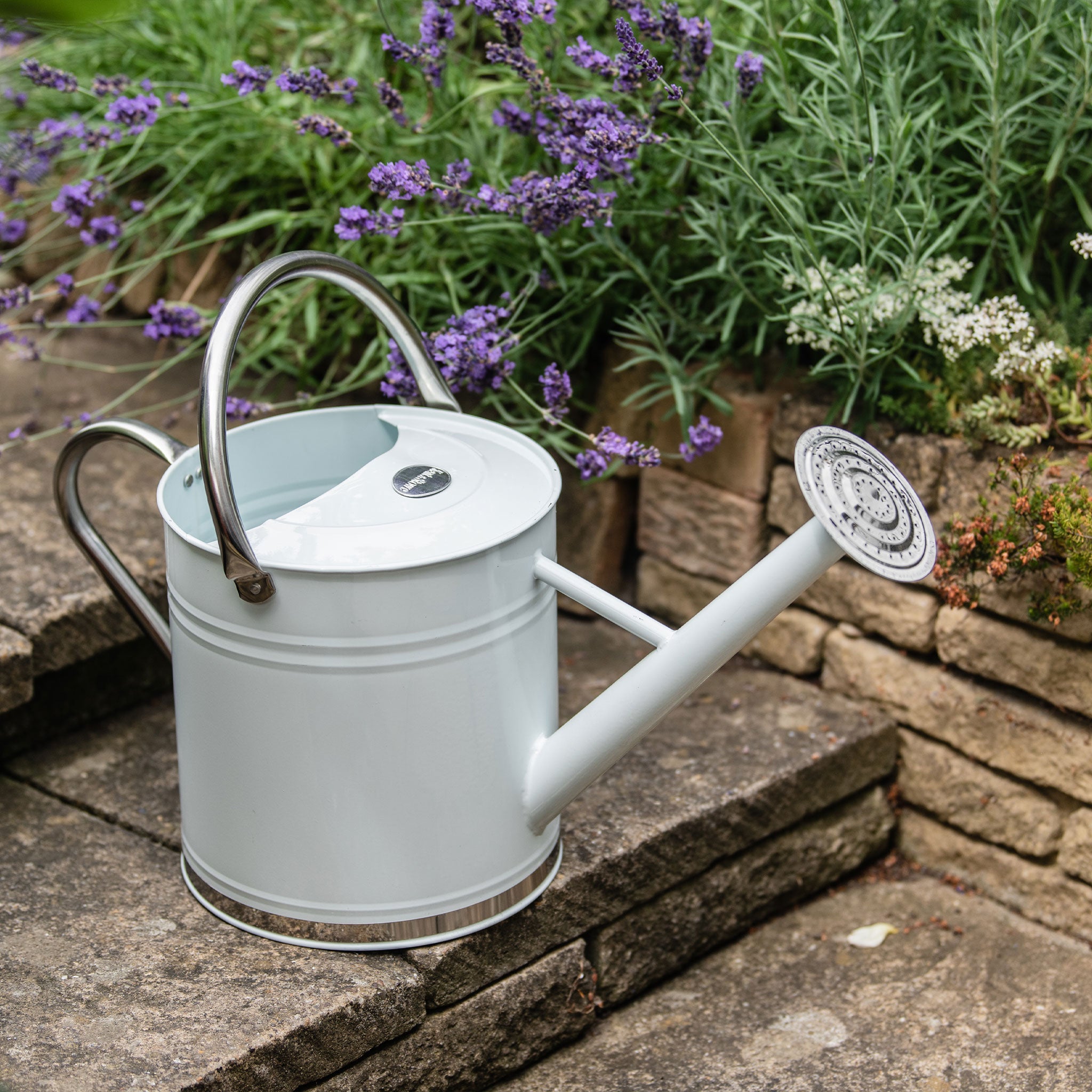 Kent & Stowe Vintage Cream Metal Watering Can 9 Ltr Buy Watering