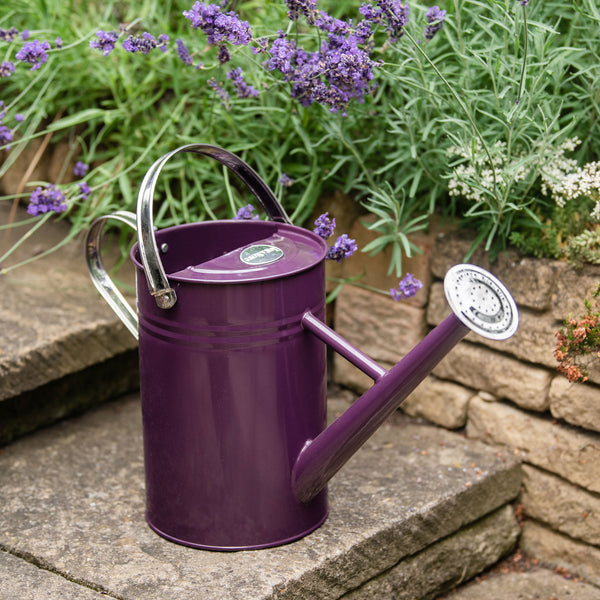 Kent & Stowe Deep Violet Metal Watering Can - 4.5 Ltr