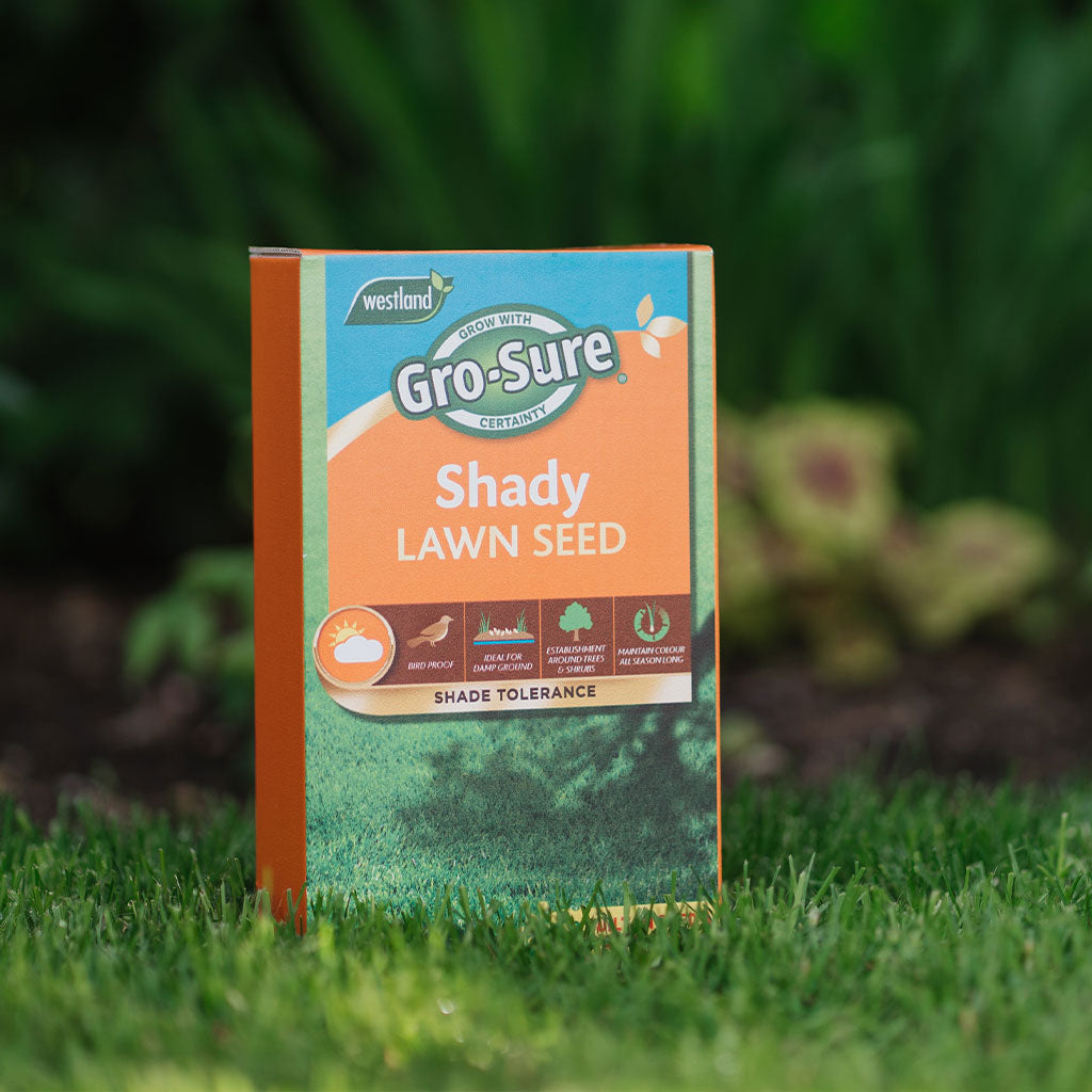 Shady Lawn Seed