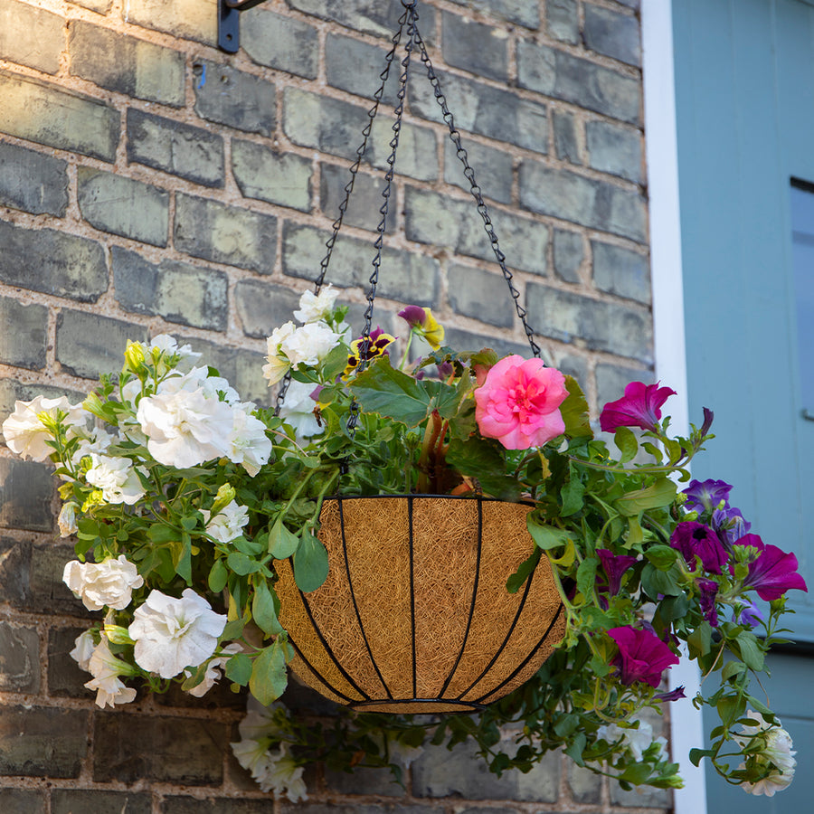 Gardman Classic Wire Hanging Basket Buy Hanging Basket Online