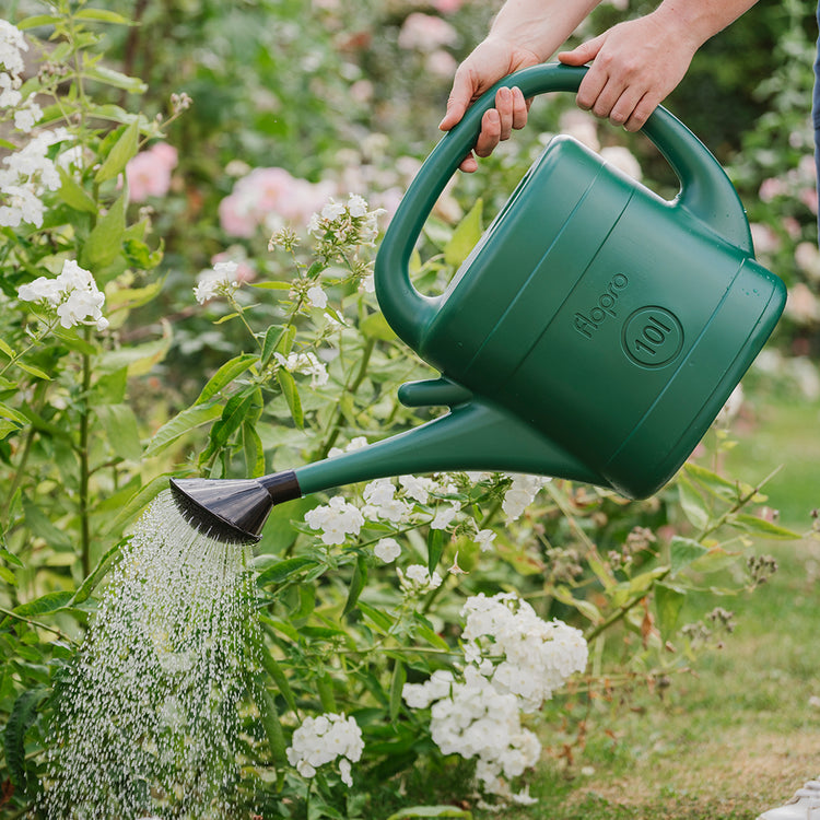 plastic watering can for plants Flopro Fineflo Plastic Watering Can - 10 Ltr