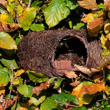 Simon King Robin Nester