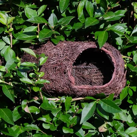 Simon King Robin Nester