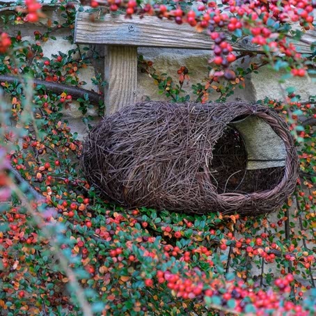 Simon King Robin Nester