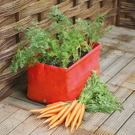 Haxnicks Carrot Patio Planters