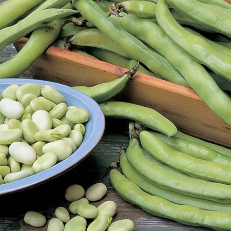 Pea and Bean Seeds 'Duo Pack'