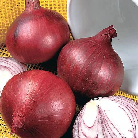 Onion ‘Red Baron’ (Spring Planting)