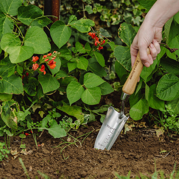 Kent & Stowe Stainless Steel Transplanting Trowel