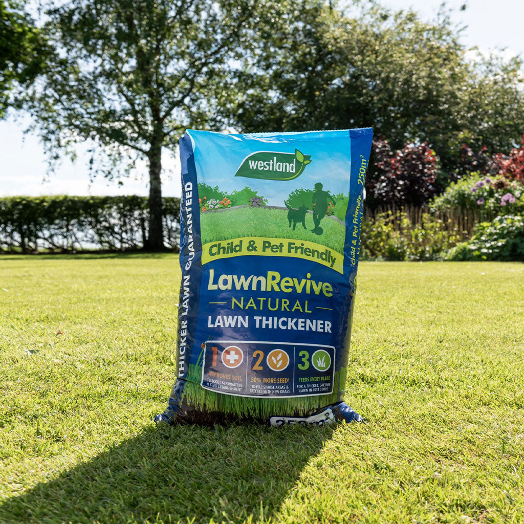 Buy Lawn Revive 250sqm Online Marshalls Garden