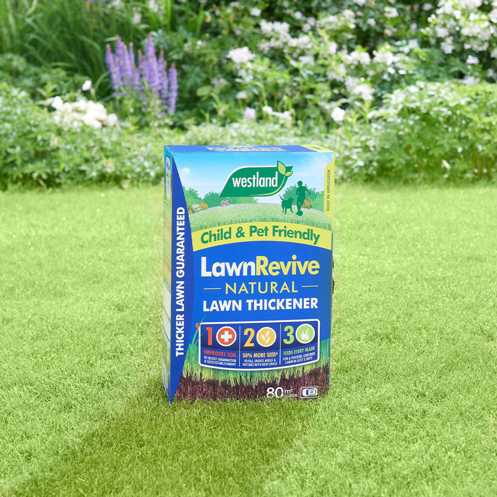 Buy Westland Lawn Revive 80sqm Online | Marshalls Online – Marshalls Garden